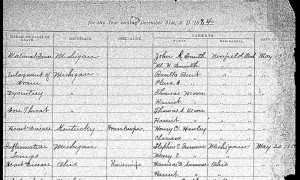 Death Certificate, Furman, Baby, MI 1884 p2